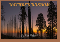 NATURE'S WISDOM My grief journey Ebook